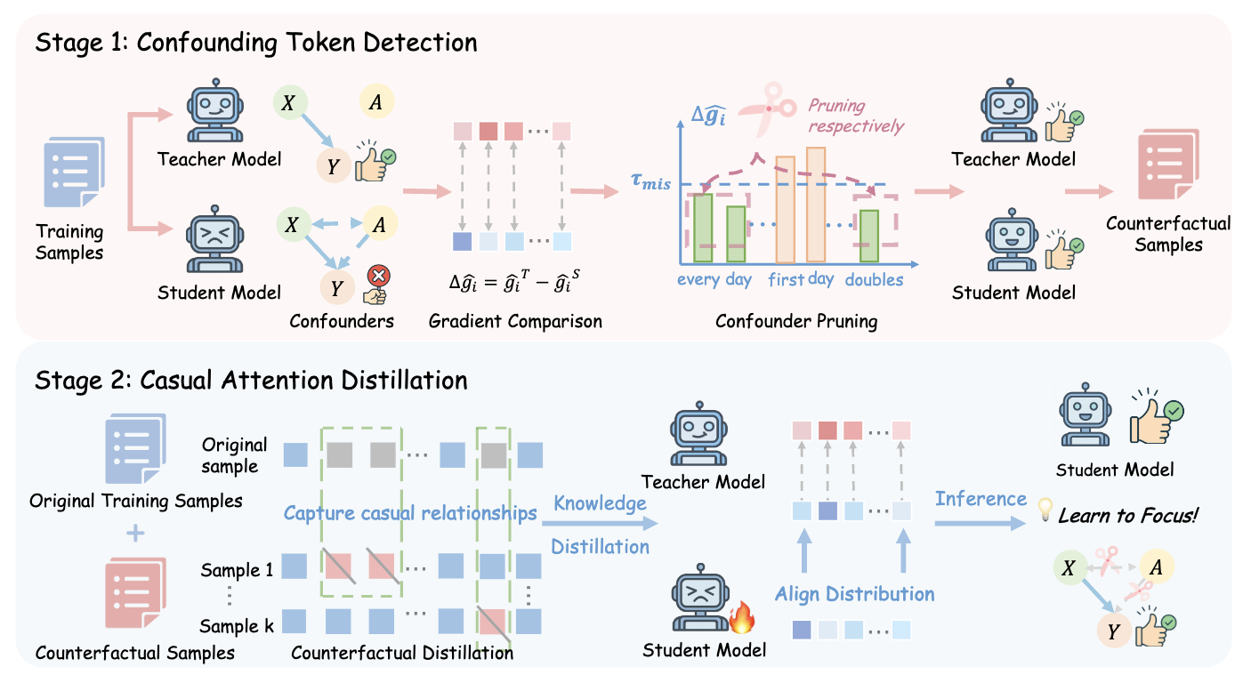 Learning to Focus: Causal Attention Distillation via Gradient-Guided Token Pruning